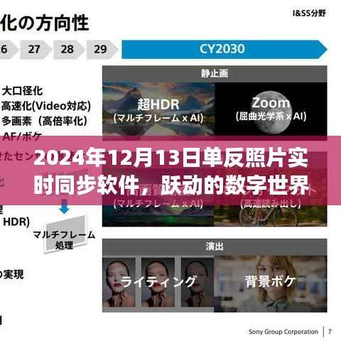 掌握数字世界的跃动,单反照片实时同步软件的励志之旅