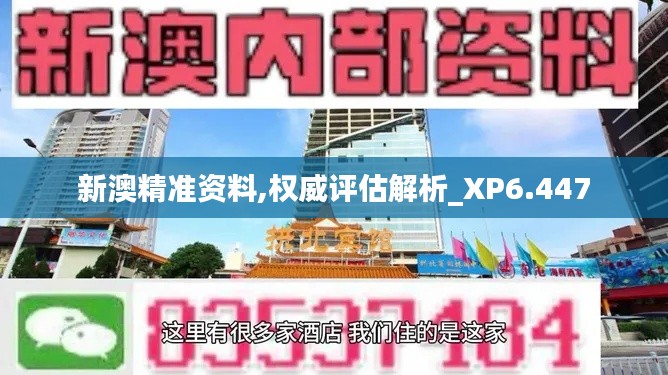 新澳精准资料,权威评估解析_XP6.447