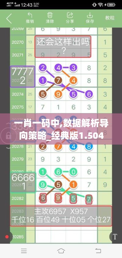 一肖一码中,数据解析导向策略_经典版1.504