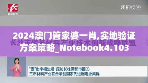 2024澳门管家婆一肖,实地验证方案策略_Notebook4.103