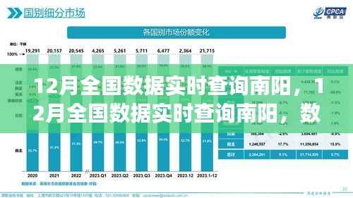 南阳12月全国数据实时查询,公开透明化的双刃剑效应解析