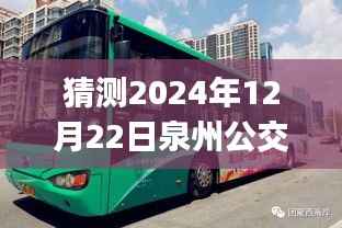 泉州公交车实时查询App使用指南，从初学者到进阶用户，掌握2024年12月22日泉州公交实时路线查询App的实用技巧与操作指南
