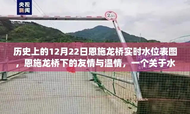 恩施龙桥水位表图背后的友情与温情故事,历史12月22日水位记录揭秘