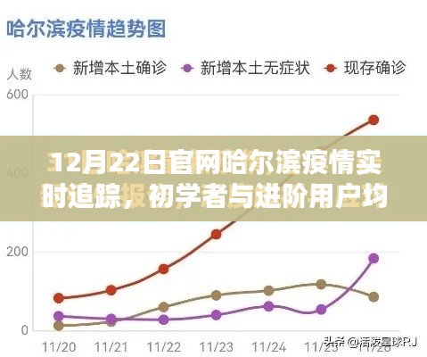 哈尔滨疫情实时追踪指南,从初学者到进阶用户,一键掌握(以12月22日为例)