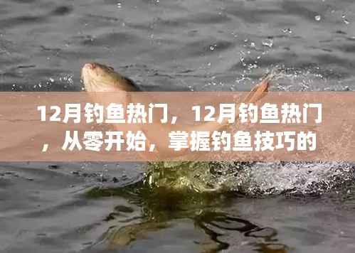 从零开始掌握钓鱼技巧，12月钓鱼热门全攻略