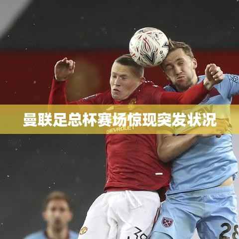 曼联足总杯赛场惊现突发状况