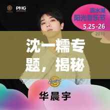 沈一糯专题,揭秘个人品牌的独特魅力