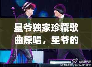 星爷独家珍藏歌曲原唱,星爷的歌曲dj全部