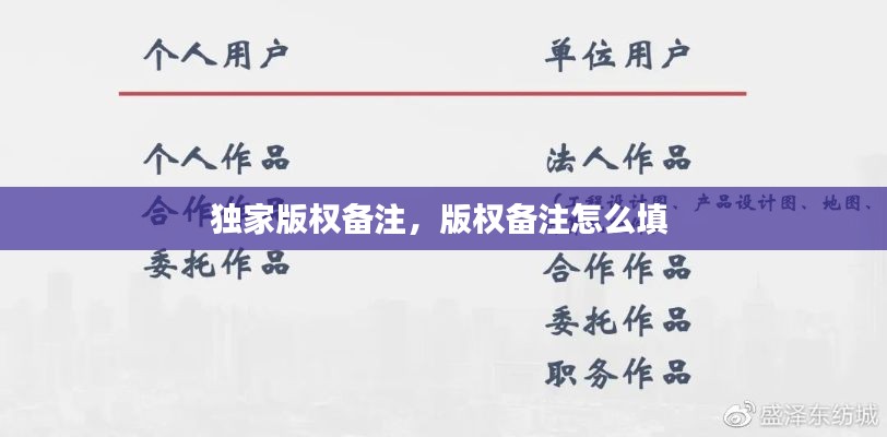 独家版权备注,版权备注怎么填