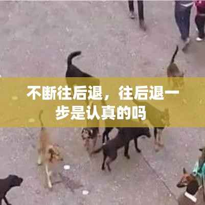 不断往后退，往后退一步是认真的吗 