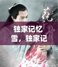 独家记忆 雪,独家记忆原版小说