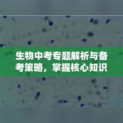 生物中考专题解析与备考策略,掌握核心知识,轻松应对考试挑战