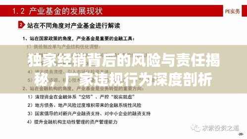 独家经销背后的风险与责任揭秘,厂家违规行为深度剖析