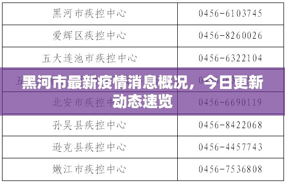 黑河市最新疫情消息概况,今日更新动态速览
