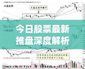 择善而从 第3页