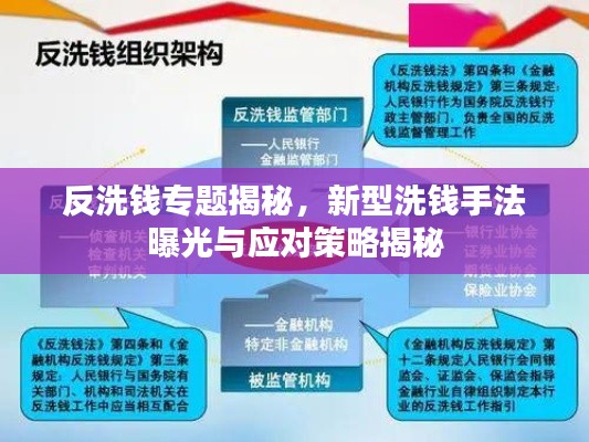 反洗钱专题揭秘,新型洗钱手法曝光与应对策略揭秘