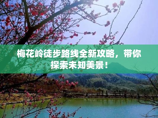 梅花岭徒步路线全新攻略,带你探索未知美景!