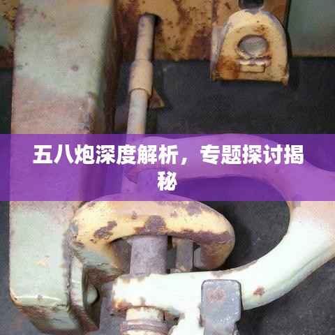 五八炮深度解析，专题探讨揭秘