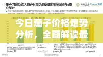 今日茄子价格走势分析,全面解读最新行情