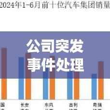 公司突发事件处理策略与实践,实战指南