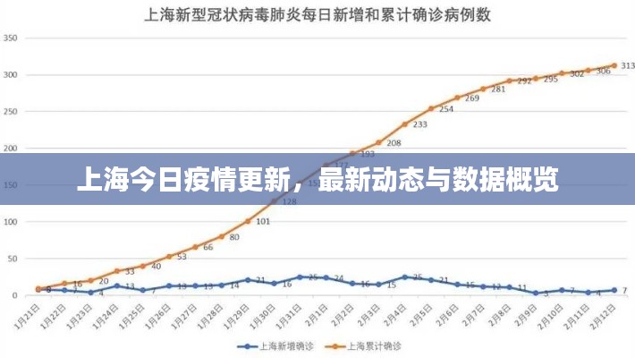 上海今日疫情更新,最新动态与数据概览