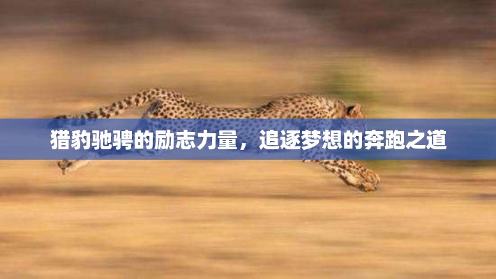 猎豹驰骋的励志力量，追逐梦想的奔跑之道