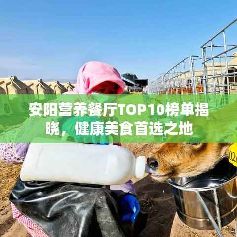 安阳营养餐厅TOP10榜单揭晓，健康美食首选之地
