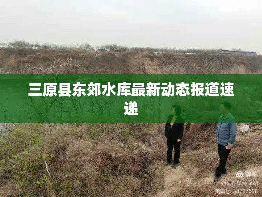 三原县东郊水库最新动态报道速递