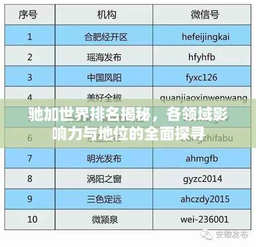 驰加世界排名揭秘,各领域影响力与地位的全面探寻