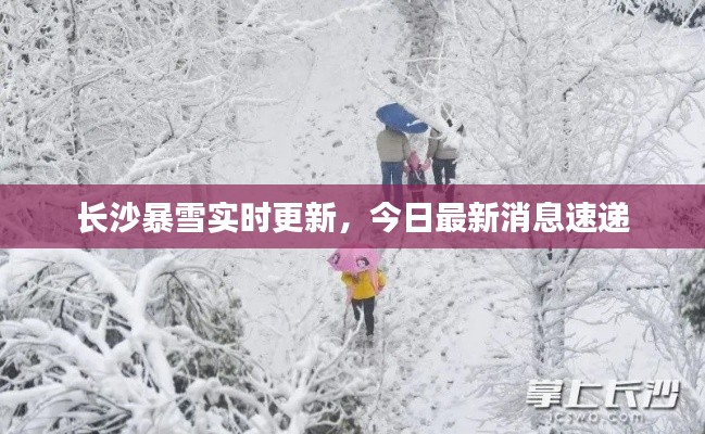 长沙暴雪实时更新,今日最新消息速递