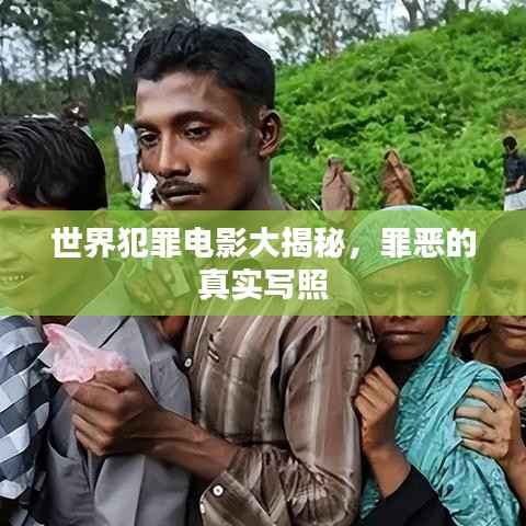 世界犯罪电影大揭秘,罪恶的真实写照