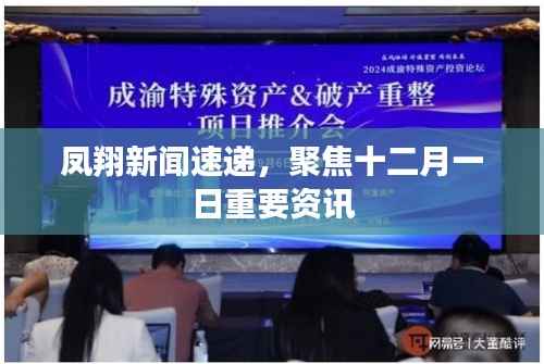 凤翔新闻速递，聚焦十二月一日重要资讯