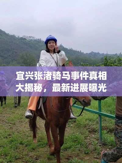 宜兴张渚骑马事件真相大揭秘,最新进展曝光