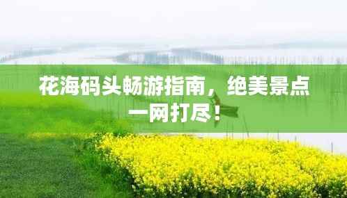 花海码头畅游指南,绝美景点一网打尽!