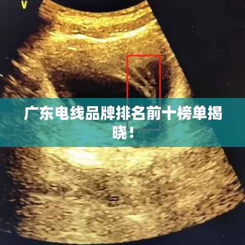 广东电线品牌排名前十榜单揭晓！