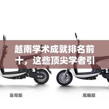 越南学术成就排名前十，这些顶尖学者引领全球创新浪潮！