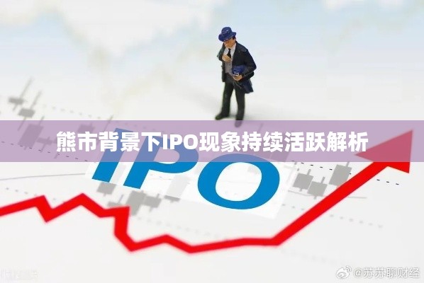 熊市背景下IPO现象持续活跃解析