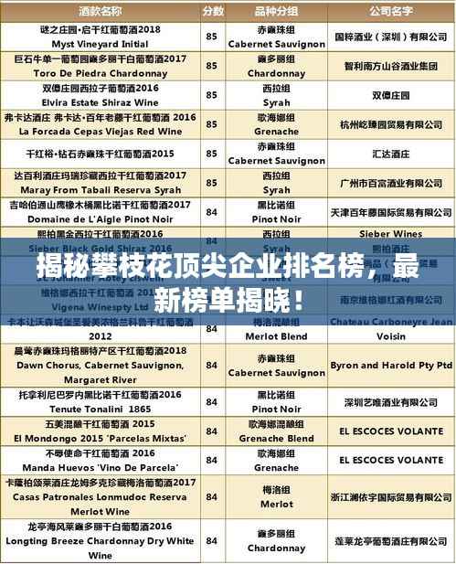 揭秘攀枝花顶尖企业排名榜，最新榜单揭晓！