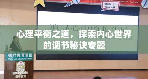 心理平衡之道，探索内心世界的调节秘诀专题