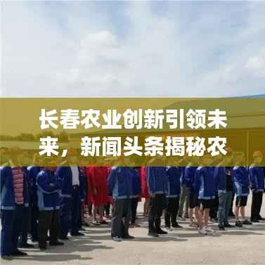 兵贵神速 第2页