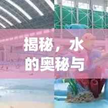 揭秘，水的奥秘与未知探索之旅