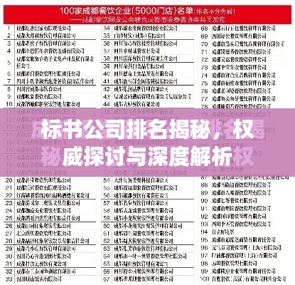 标书公司排名揭秘，权威探讨与深度解析