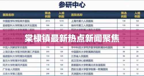 棠棣镇最新热点新闻聚焦