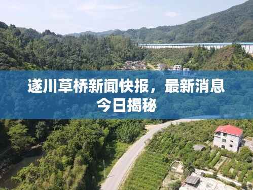 遂川草桥新闻快报,最新消息今日揭秘