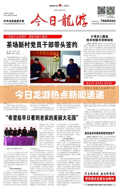 今日龙游热点新闻速递